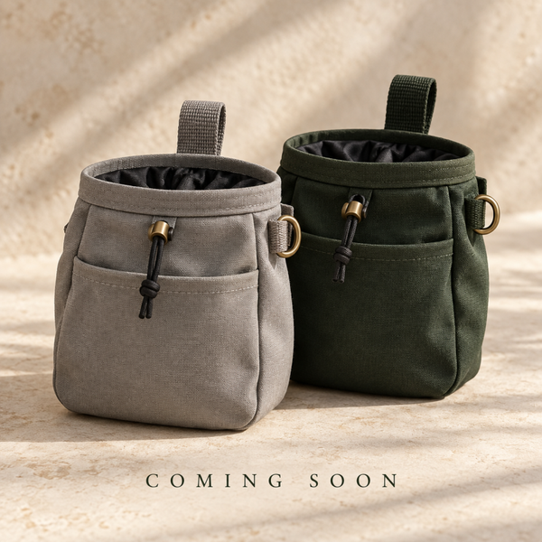 The Walk & Train Treat Pouch