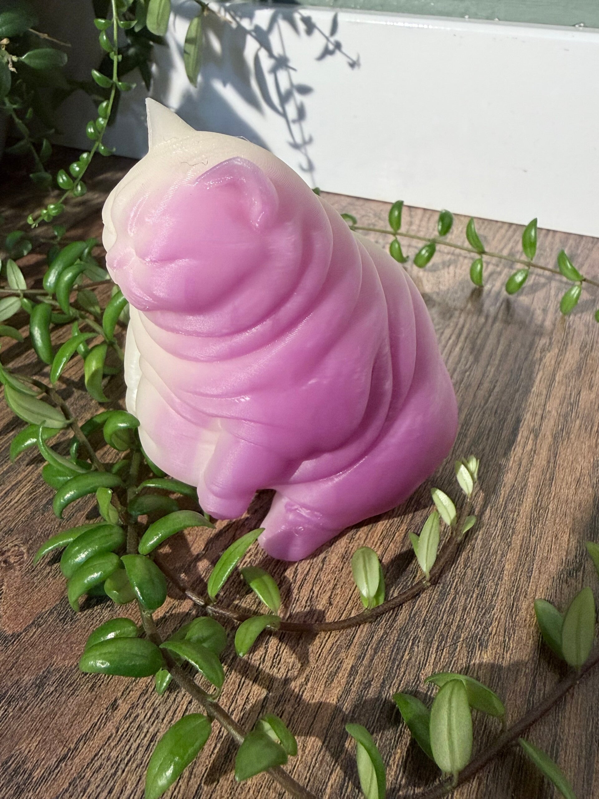 Fat Cat wit/roze 3d print
