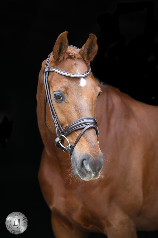 LJ SERRENTO rond genaaid leder
