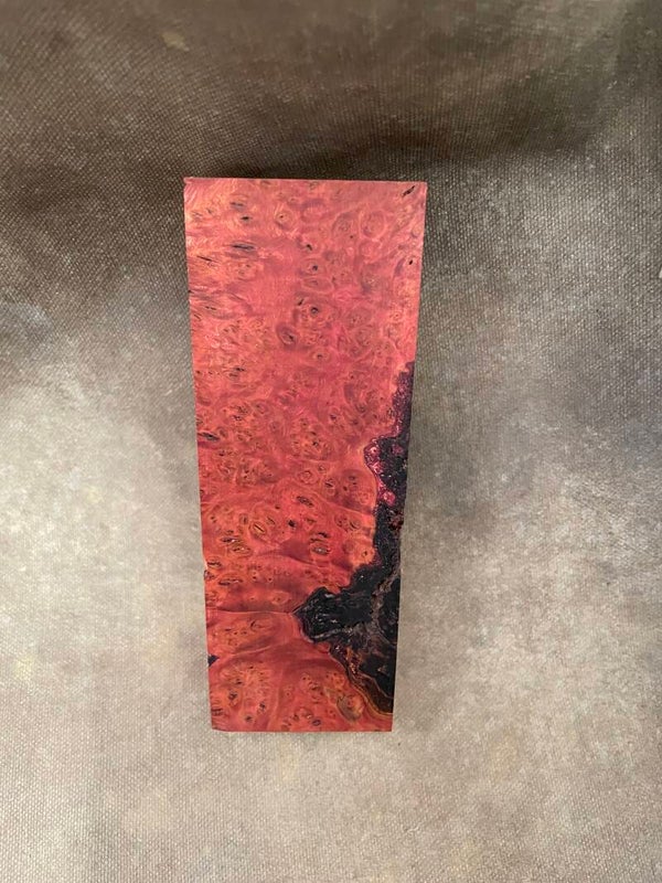 Stabilised Wood Elm Burr/Burl Spalted Red Dyed