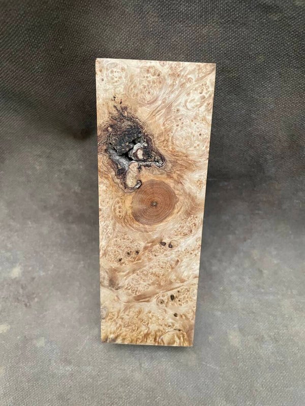 Stabilised Wood Maple Burr/Burl Spalted
