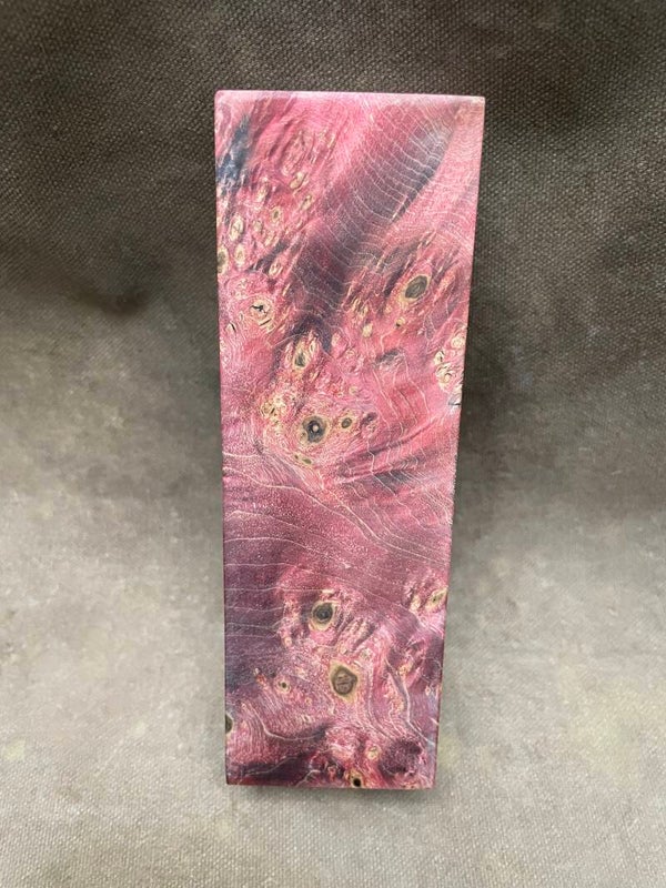 Stabilised Wood Maple Burr/Burl Spalted Red Dyed