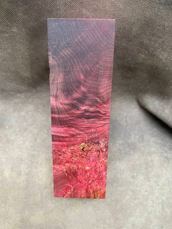Stabilised Wood Maple Burr/Burl Spalted Blank Double Dyed