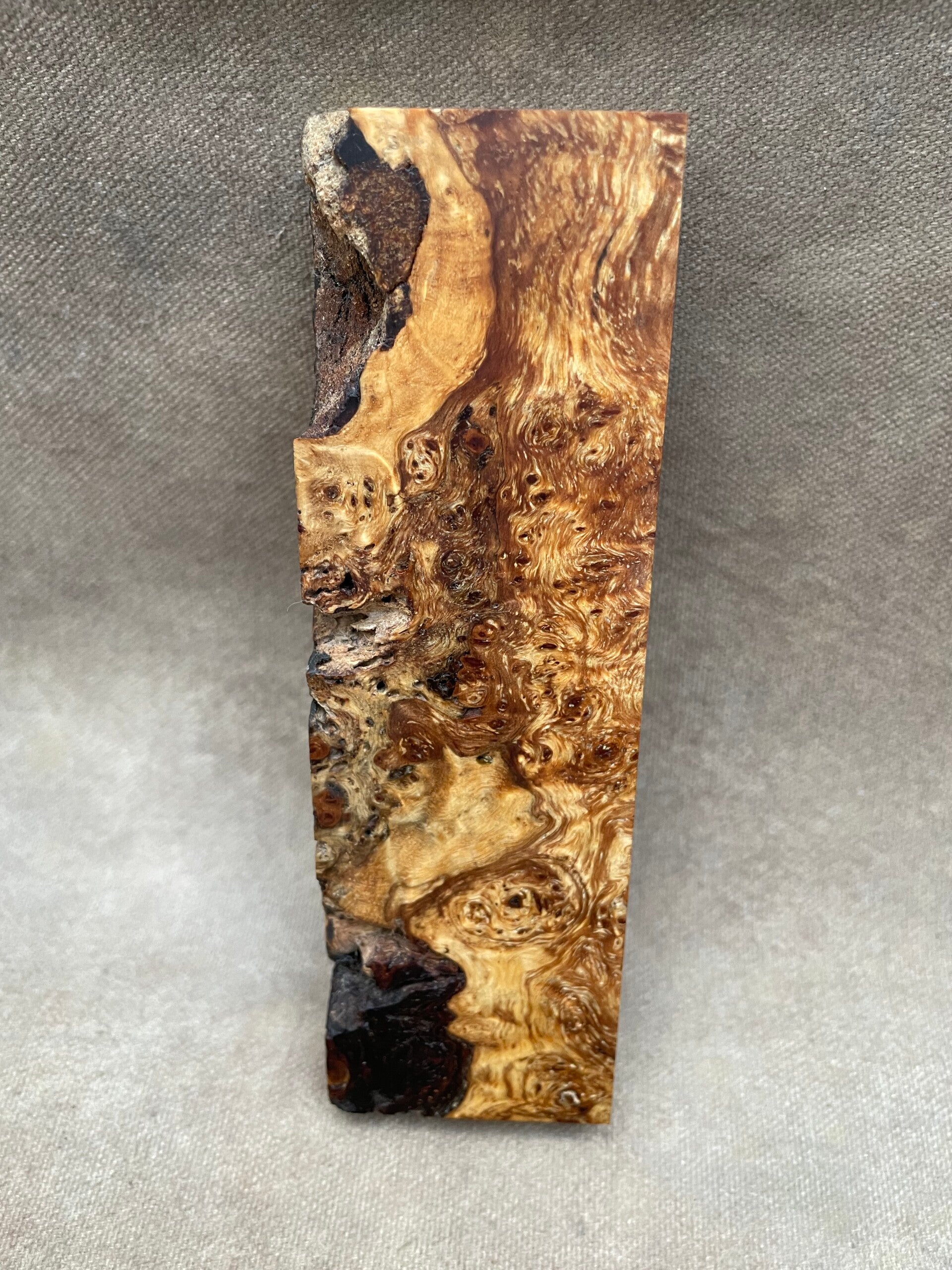 Stabilised Wood Alder Burr/Burl Spalted Blank Clear Resin Colour