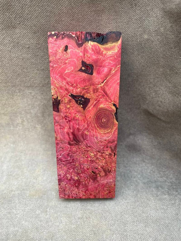 Stabilised Wood Maple Burr/Burl Spalted Blank Red Dyed