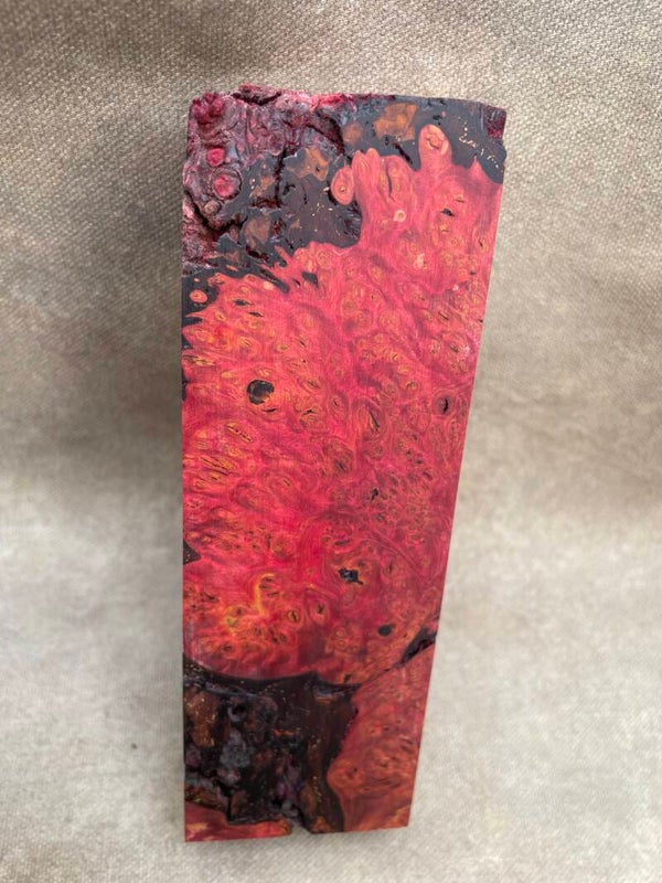 Stabilised Wood Maple Burr/Burl Spalted Blank Red Dyed
