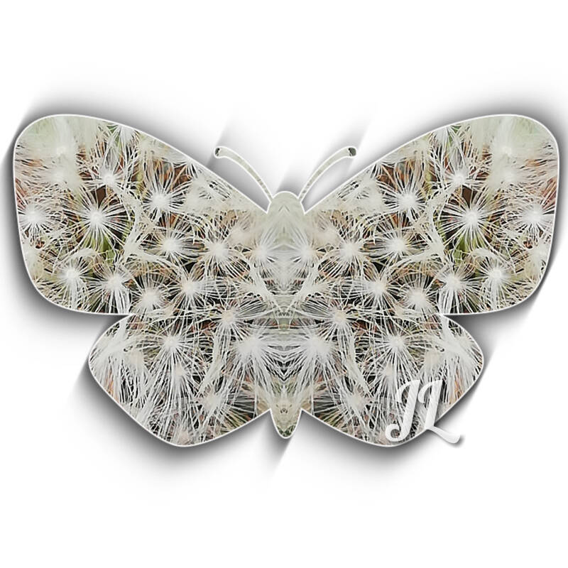 Art from Jolanda Lems 