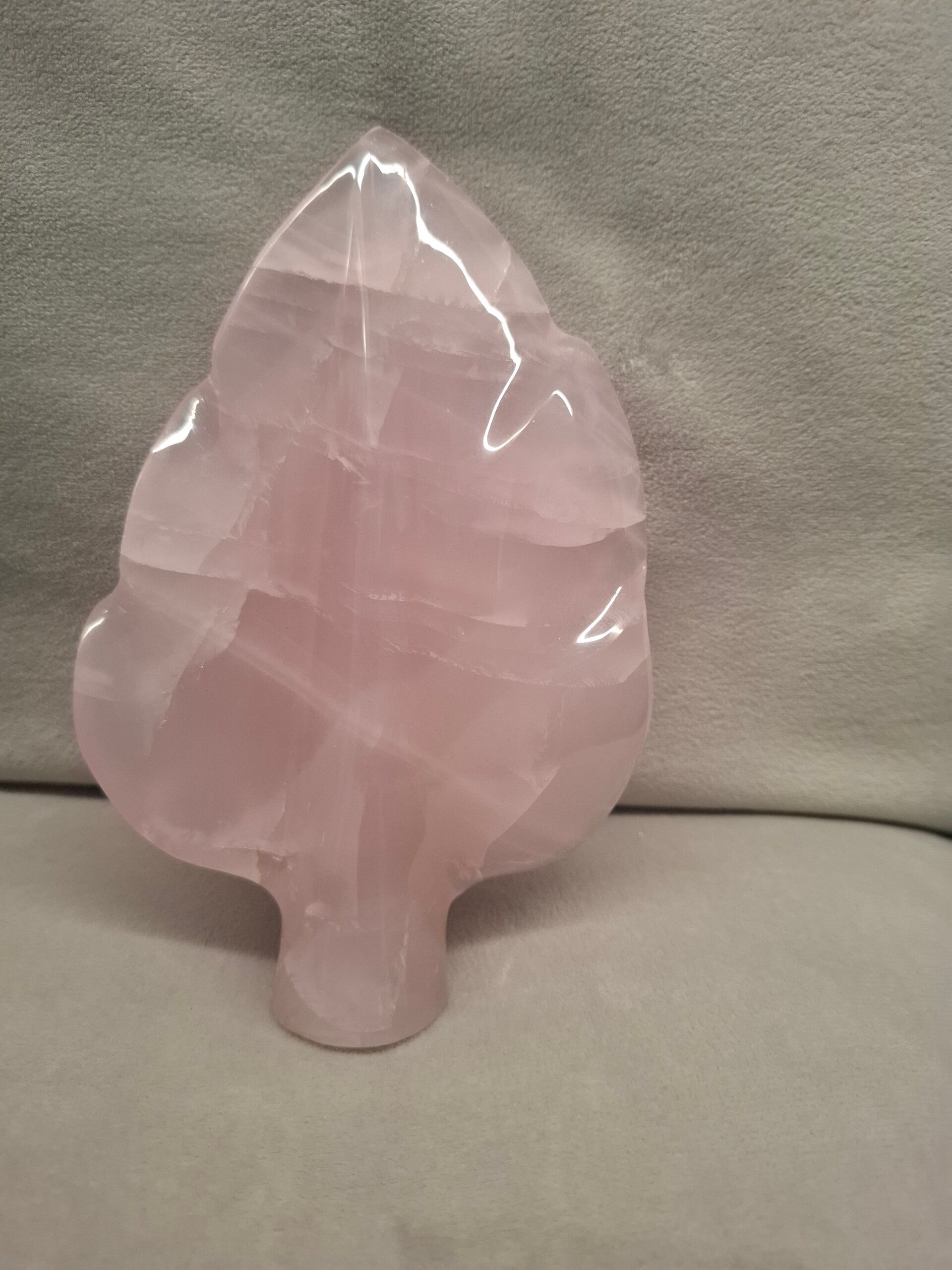 Rozenkwarts sculptuur blad