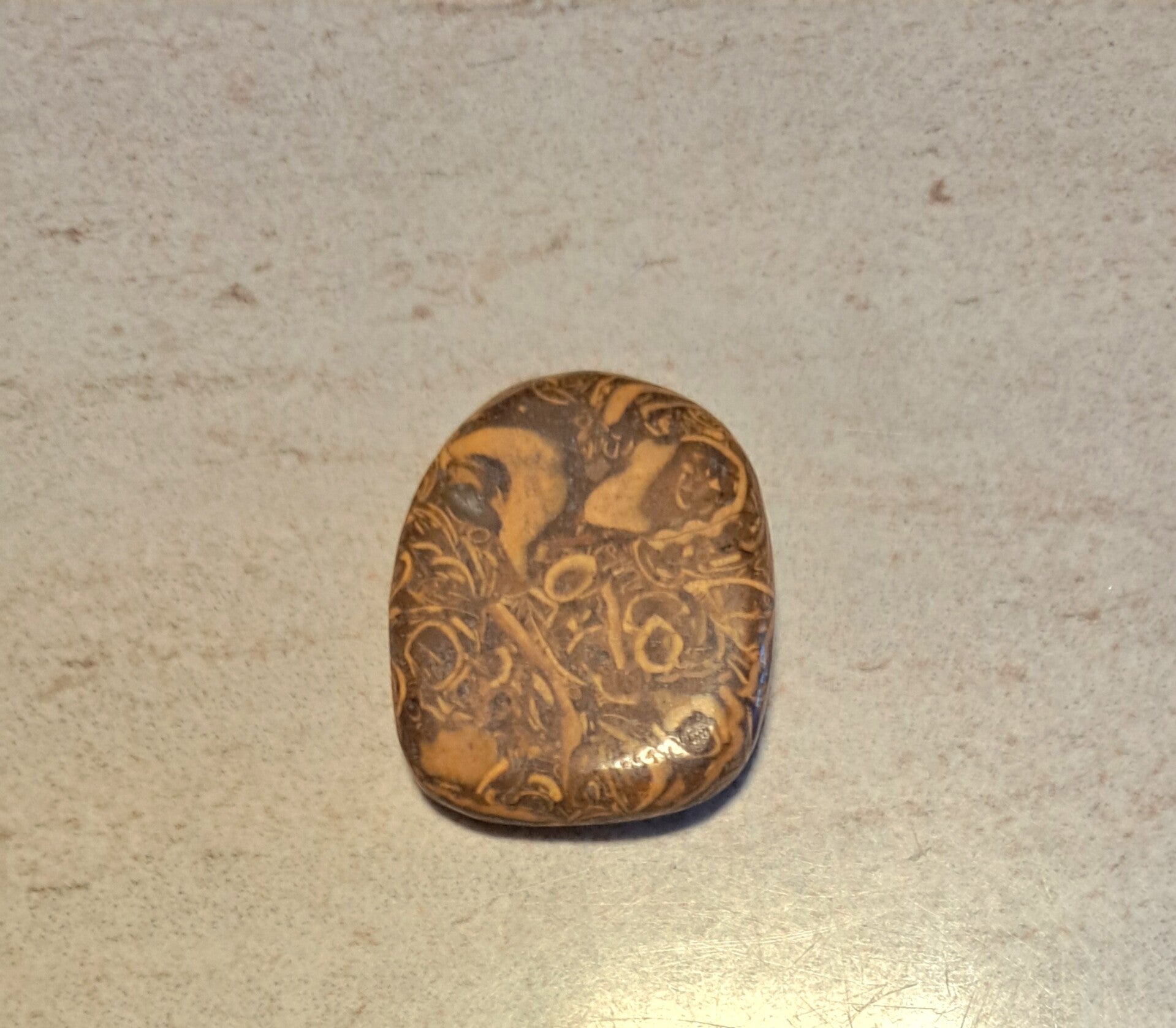 Slangen jaspis platte steen