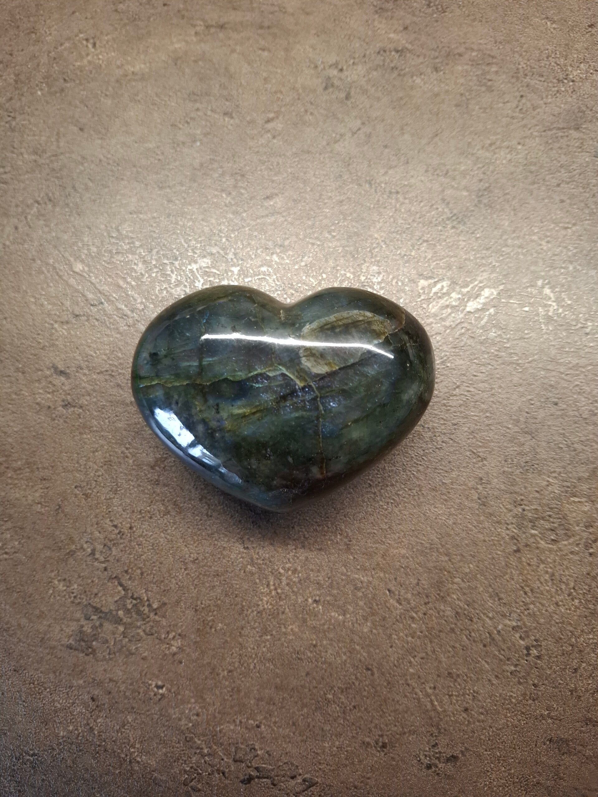 Labradoriet hart groot