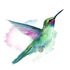 kolibri-bewegtes-leben.de