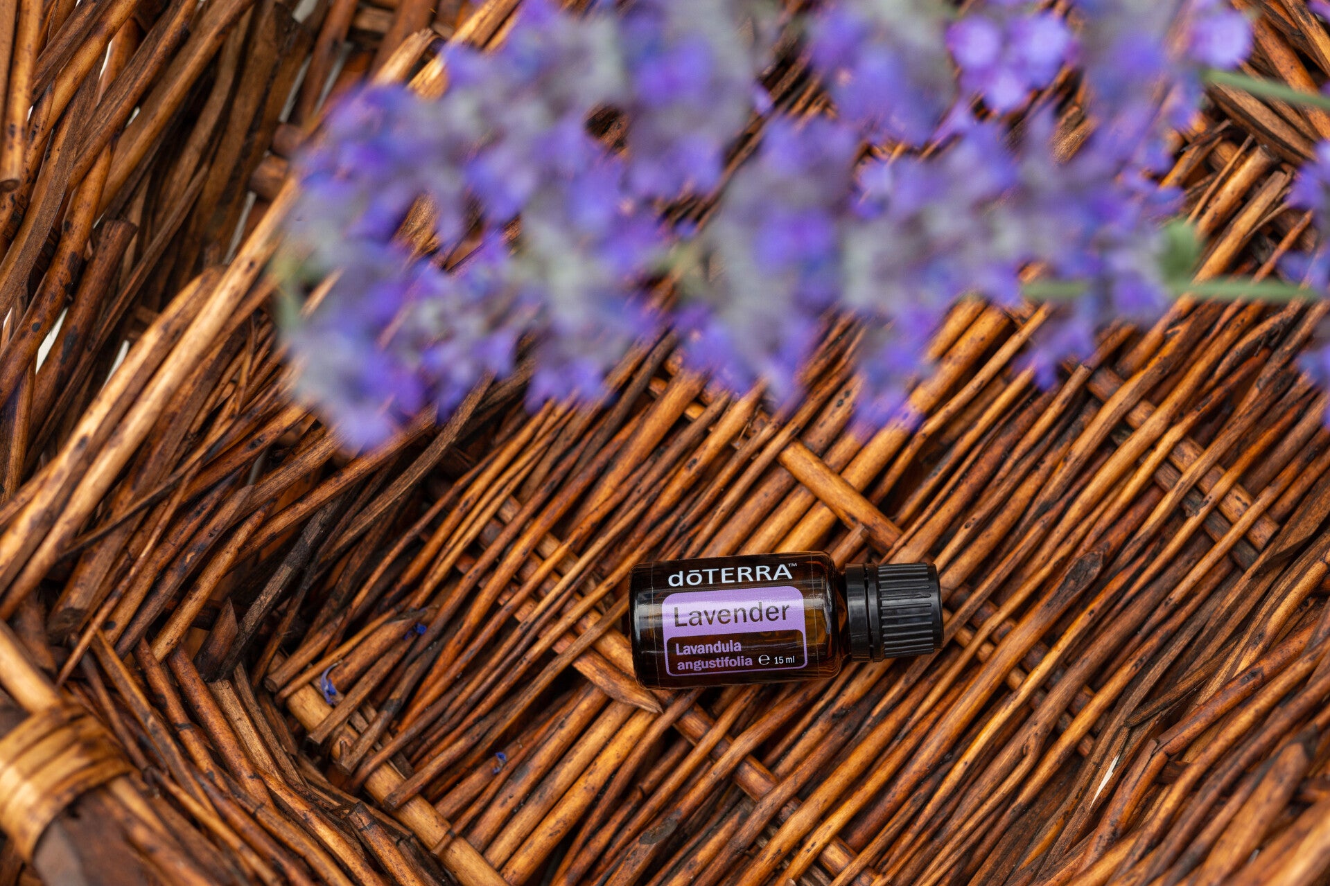 Lavande 15ml