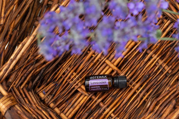 Lavande 15ml