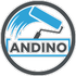 Andino paints inc
