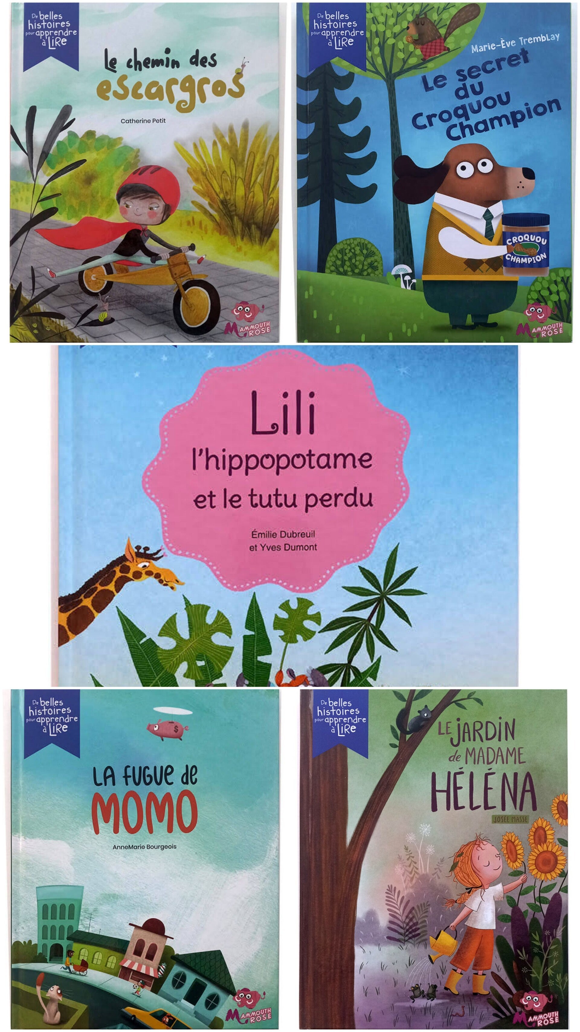 Collection Mes belles histoires pour apprendre à lire
