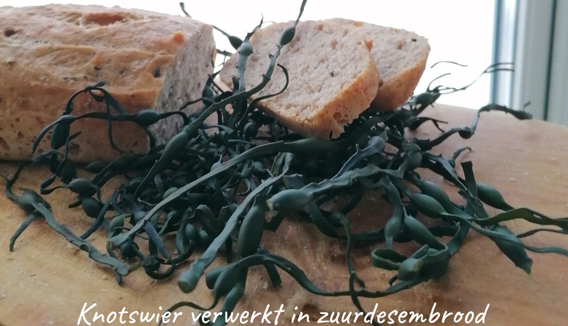 knotswier en zuurdesembrood