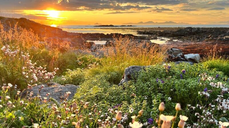 middernachtzon Lofoten