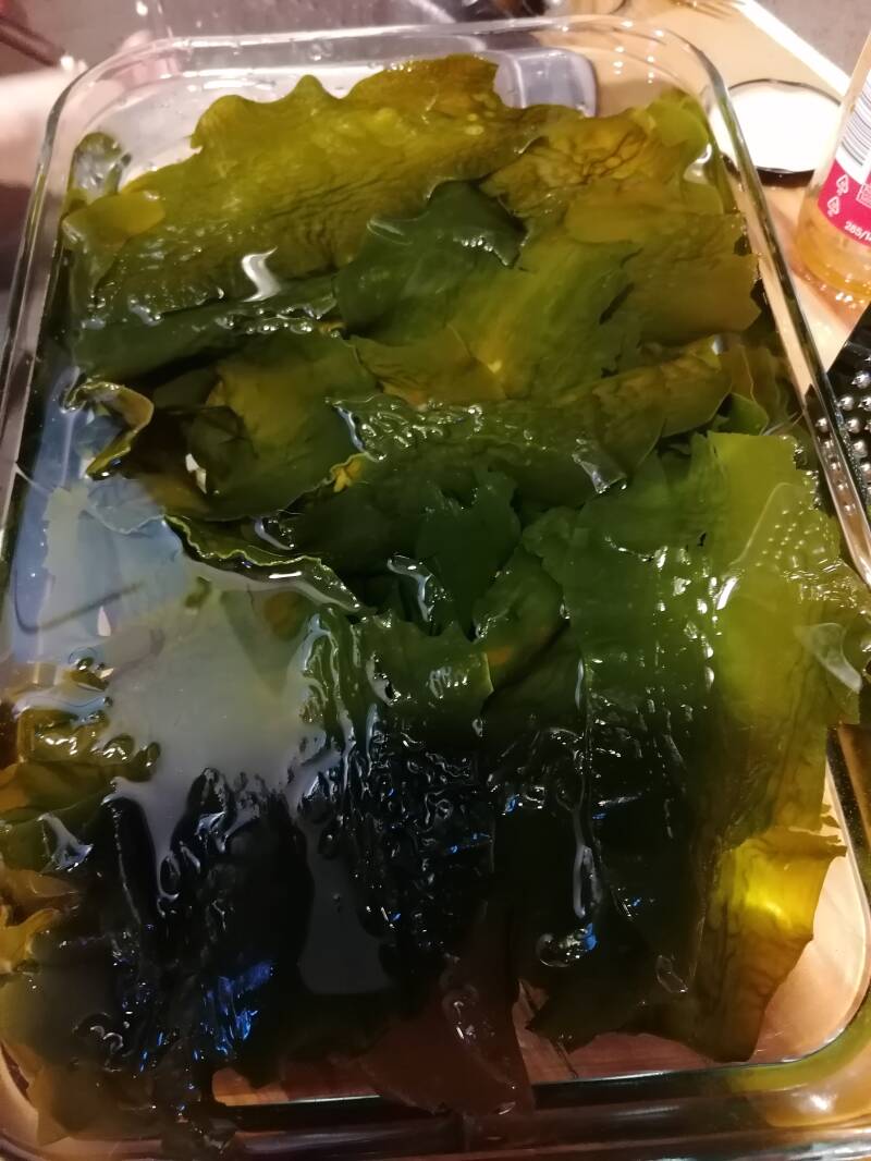 suikerwier, zeewier van de Lofoten