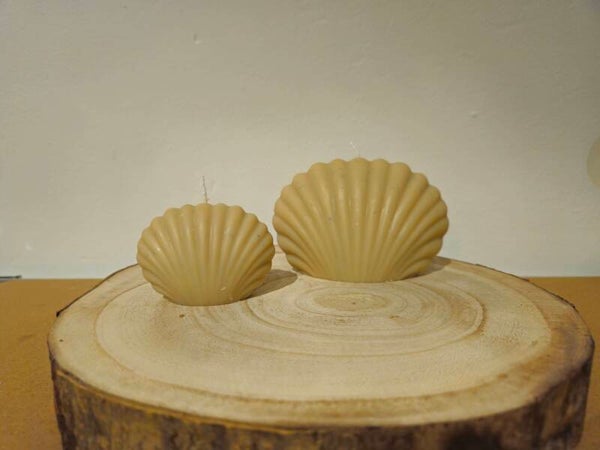 Zee & Zand Schelp