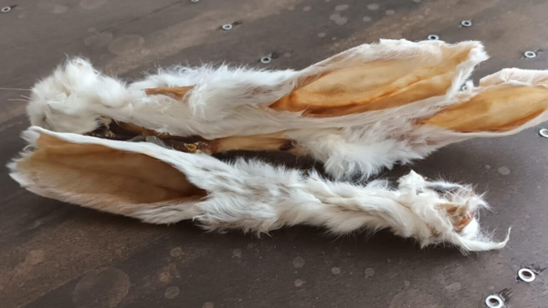 Konijnenoren met vel 200 gram