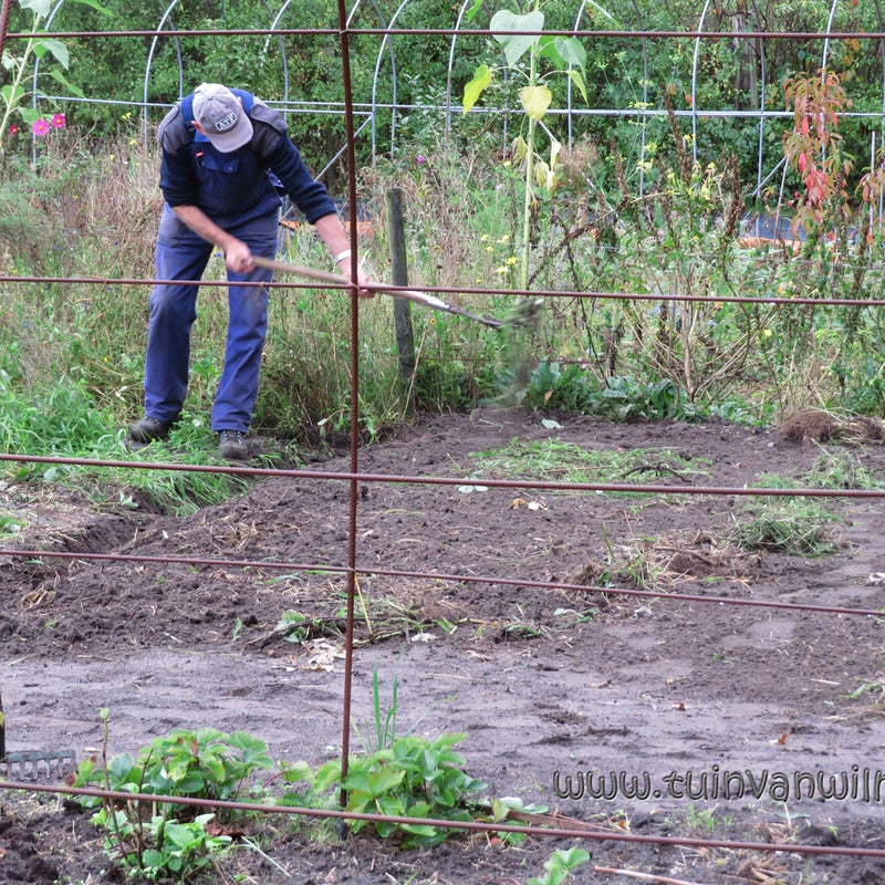 Rien in actie!