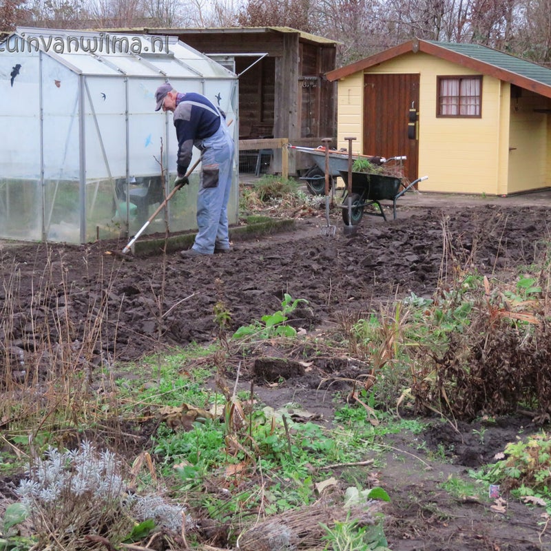 Rien maakt de oude tuin netjes.