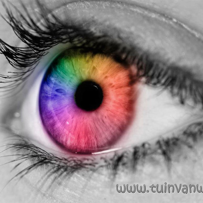 Regenboog oog