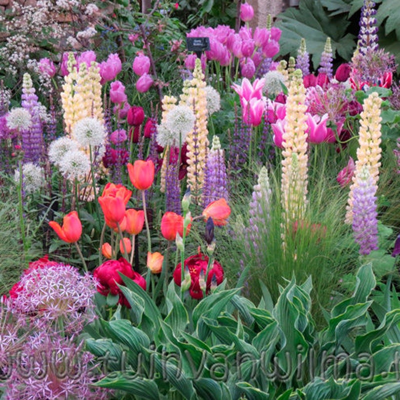 Goed verzorgde planten