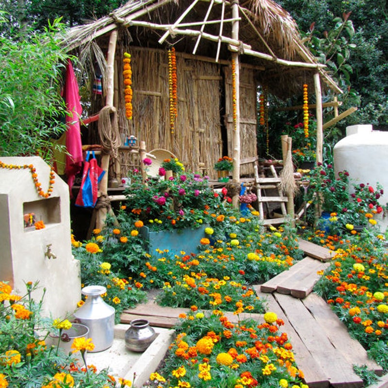 Garden for water Aid