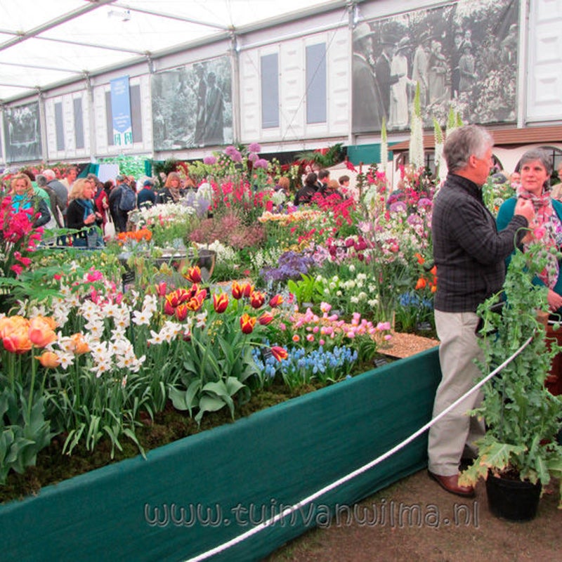 Chelsea Flowershow