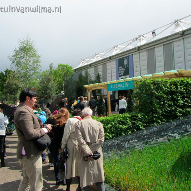 Tentoonstellingstent