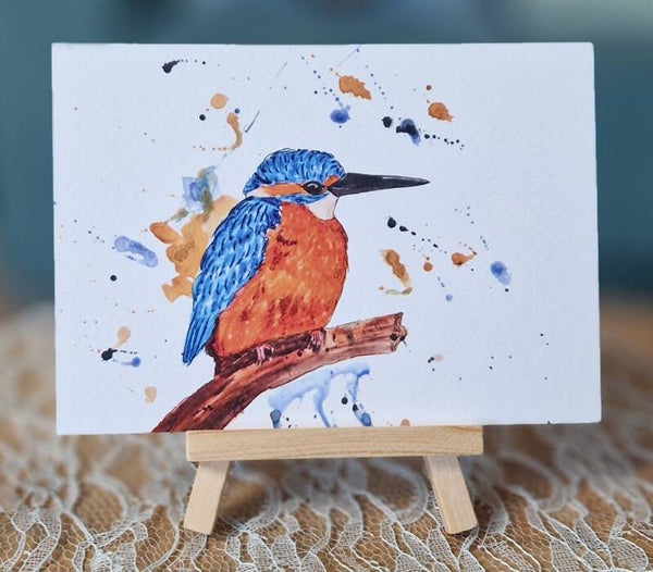 Ijsvogel