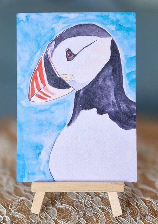 Puffin