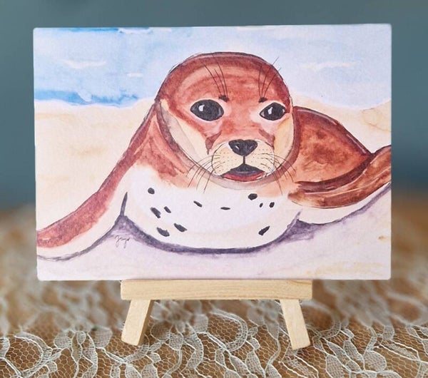 Zeehond