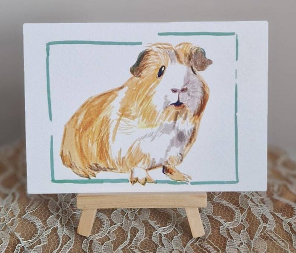 Cavia in kader