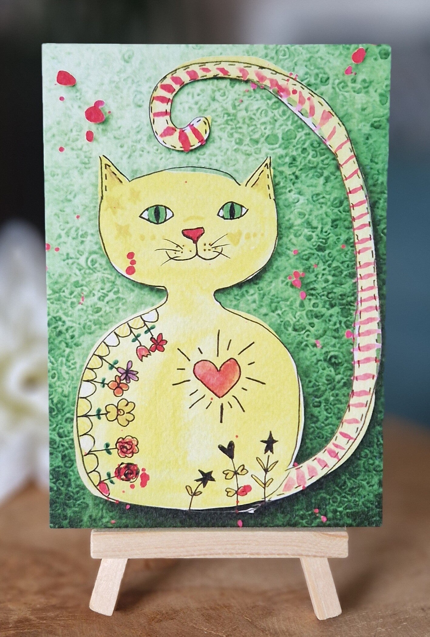 Zonnige Kat