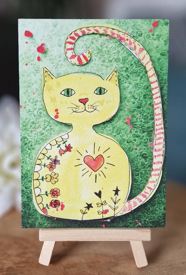 Zonnige Kat