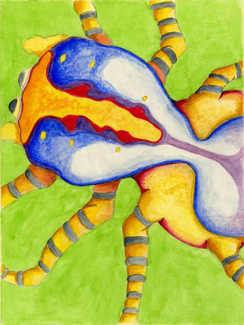 Hourglass (hourglass spider) -watercolor