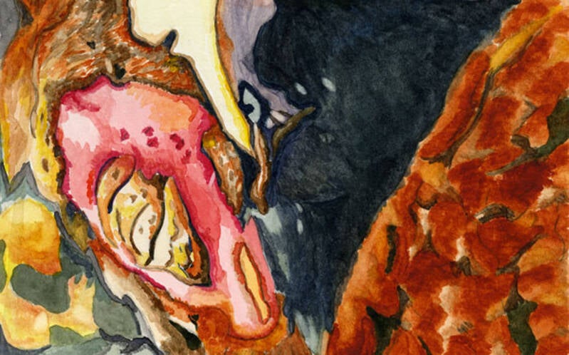 Death (dead chicken) - watercolor