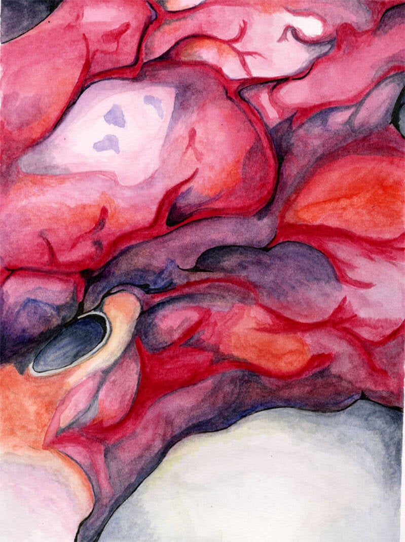 Ducks #1 (Muscovy duck) - watercolor 