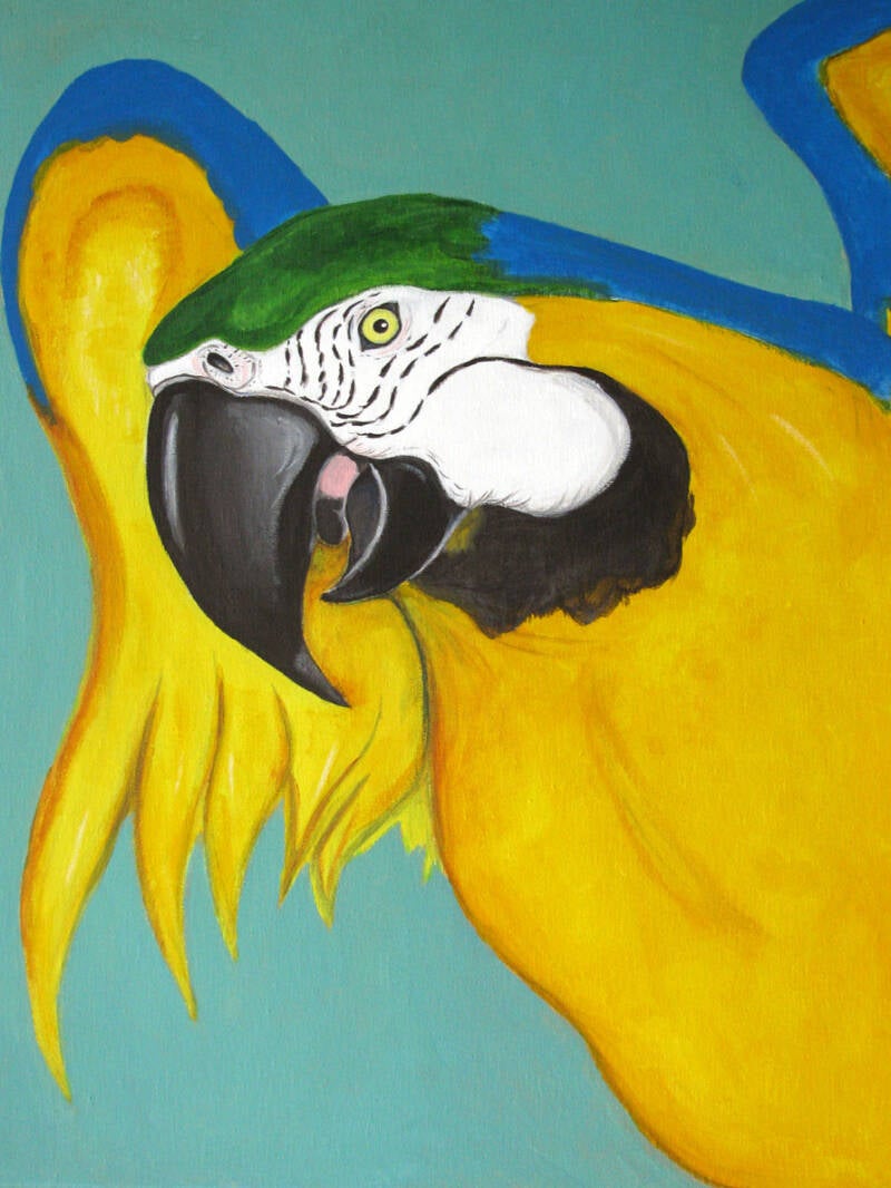 Blue and Gold (blue and gold macaw) - acrylic