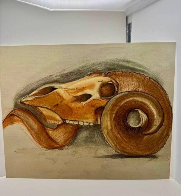 "Ram Skull" - Signed Reproduction Print