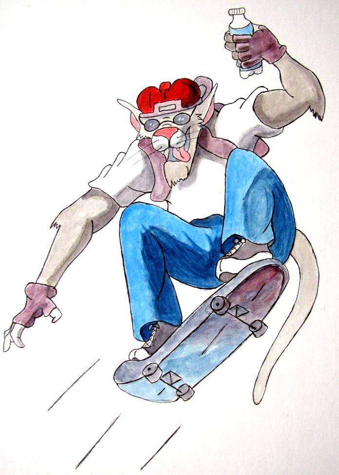 Skate Boarding Cat - acrylic