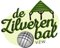 De Zilveren Bal