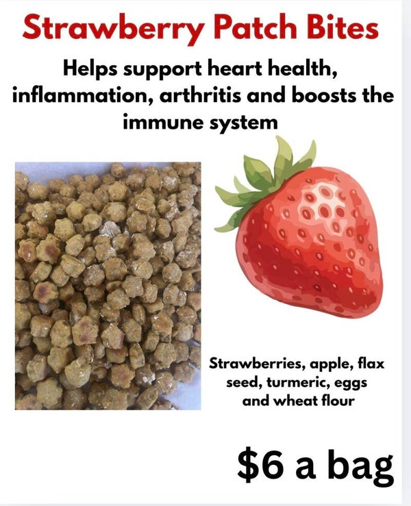 Strawberry Patch Bites