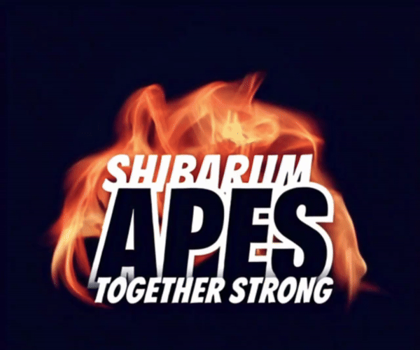 Shibarium Ape