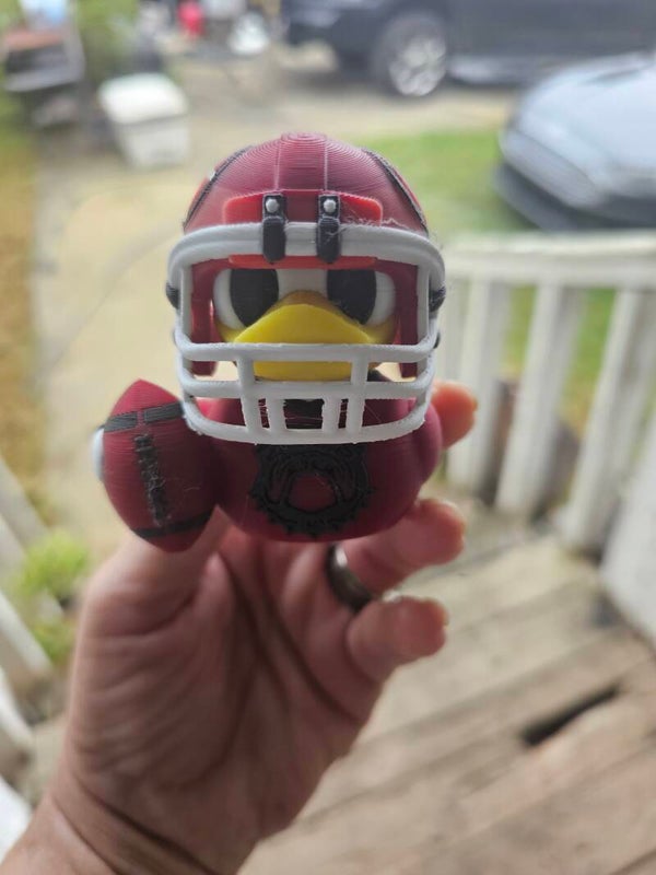 Georgia duck
