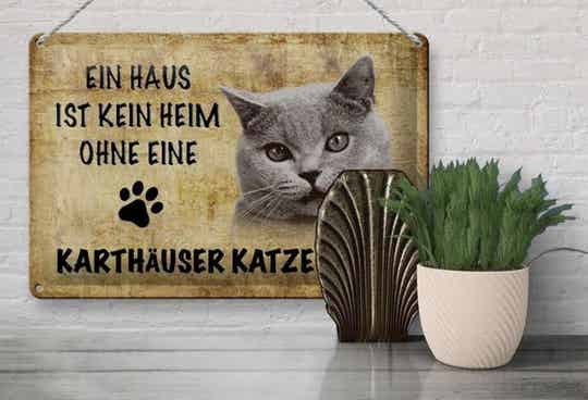 Katzen-Blechschild „Ein Haus ist kein Heim ohne eine Kartäuser Katze“ (20×30cm)