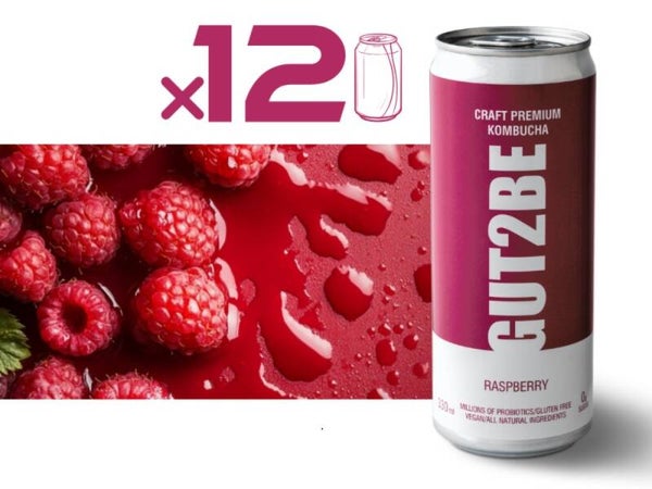 Fermentierter Tee CRAFT PREMIUM-Kombucha Himbeere 12 x 330ml