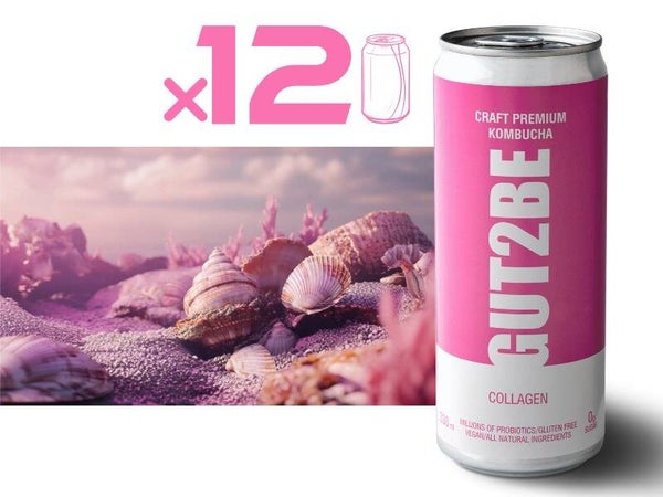 Fermentierter Tee CRAFT PREMIUM-Kombucha mit Kollagen 12 x 330ml